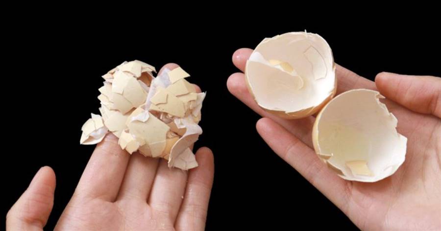 扔雞蛋殼就相當于在扔錢，原來還有這10個妙用，能解決好多問題