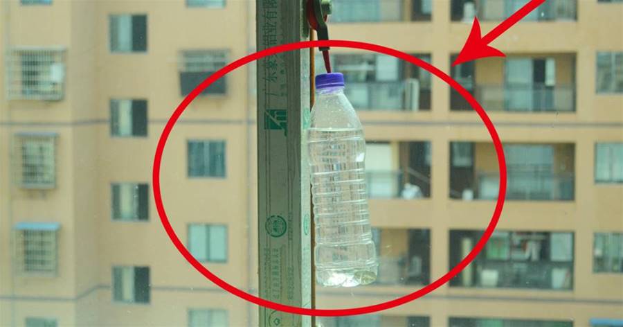 塑料瓶裝點水掛在窗邊，作用真厲害，鄰居見了紛紛學起來