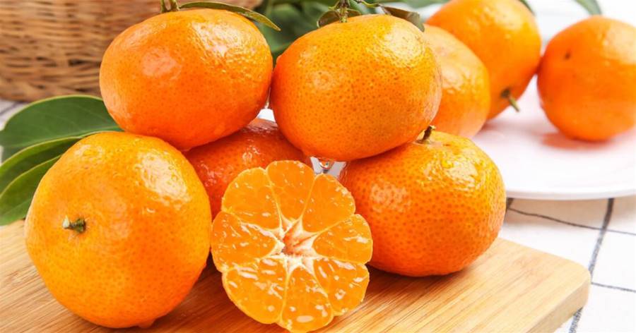 買砂糖橘，選有葉子的還是沒有葉子的？學會4不買，砂糖橘不會差